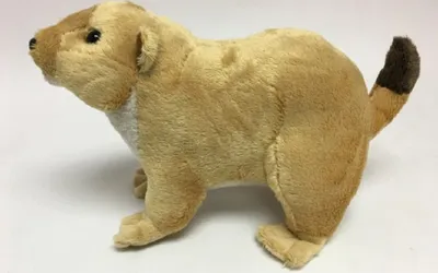 Produktbild von Plüschtier Präriehund 21 cm, Kuscheltiere Stofftiere Murmeltier Tier Tiere Zootiere