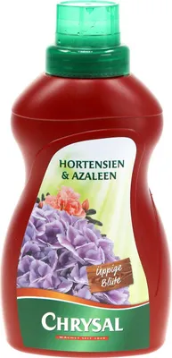 Produktbild von Chrysal Flüssigdünger für Hortensien und Azaleen - 500 ml