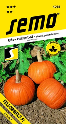 Obrázek produktu pro Tykev velkoplodá Yellowgirls F1