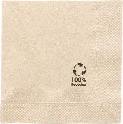 Obrázok produktu pre 2-vrstvové obrúsky "Recyklované" 20 x 20 cm 100 kusov.