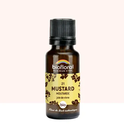 Image de Biofloral - 21 Mustard, Moutarde -- 19,5 gr