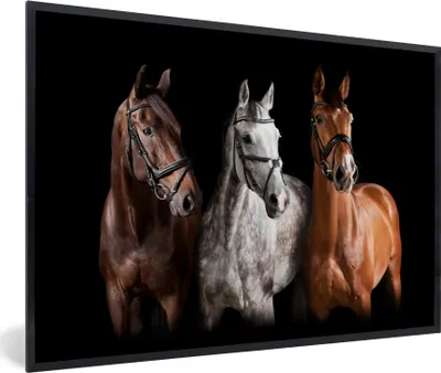 Produktbild von MuchoWow® MuchoWow® Gerahmtes Poster Pferde - Tiere - Schwarz 90x60 cm - Poster mit zchwarzem Bilderrahmen - Fotorahmen - Foto-Plakat