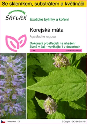 Obrázek produktu pro SAFLAX Kultivační sada - korejská máta - Agastache rugosa - 1200 Semena - S mini skleníkem, pěstebním substrátem a 2 květináči