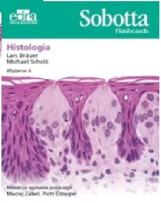 Immagine prodotto di Sobotta Flashcards. Histologia