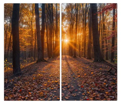 Produktbild von Spritzschutz Herdabdeckplatte Schneidebrett aus Glas Sonnenuntergang Wald 2-Teilig (60x52cm)