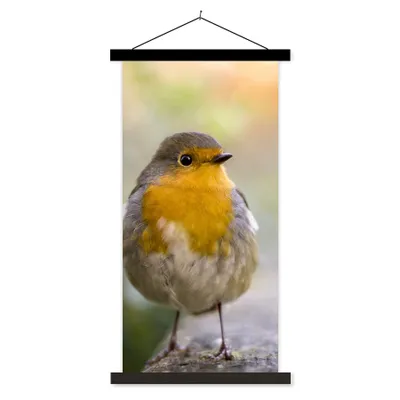 Produktbild von MuchoWow® Textilposter Vögel - Rotkehlchen - Baum 90x180 cm mit schwarzem Rahmen - Dekoration Wohnzimmer