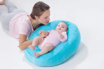 Immagine prodotto di Dreamwizard - Coperchio per la costruzione del nido - blu