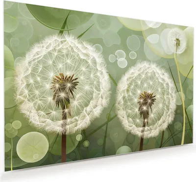 Produktbild von Glasbild 90x60cm in XXL für Wohnzimmer, Schlafzimmer Motiv Löwenzahnzarte Blüten