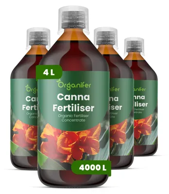Obrázok produktu pre Canna Tekuté hnojivo 4x1 L – vzťah NPK 3-4-3 – pre kvitnúce rastliny – pre bohatú vegetáciu a silné kvety – podporuje rast koreňov a vitalitu – organické