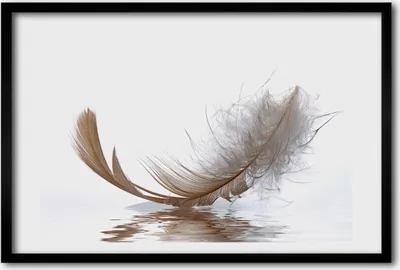 Produktbild von Bild 60x40 MDF-Rahmen, Wandkunst Feder-Wasser