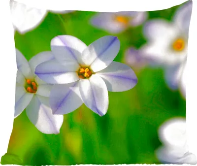 Produktbild von MuchoWow® Zierkissen Sofakissen Wohnzimmer Dekokissen 45x45 cm Blumen - Garten - Lila - Schlafpolster - Polster für das Sofa