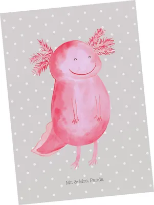 Produktbild von Mr. & Mrs. Panda Postkarte Axolotl Glücklich - Grau Pastell - Geschenk, gut Gelaunt, Lebensfroh, Ansichtskarten, Fotokarte, Motivation, Grußkarte, Lurch, Ansichtskarte