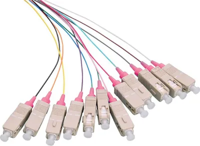 Productafbeelding van LogiLink FL4SC02, 2 meter, OM4, 12x SC-connector