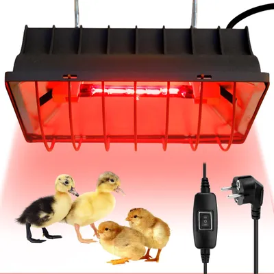 Wärmelampe für Tiere, 175 W, Rotlicht, mit Lampenschirm, für Küken & Hühner