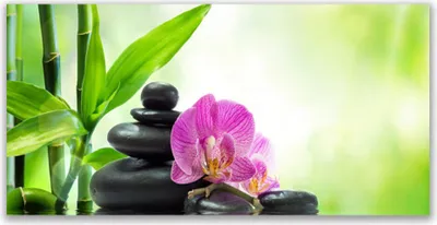 Produktbild von Tulup Leinwand-Bilder 120x60 Wandbild Canvas Kunstdruck Bambusrohre Blume Steine