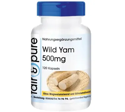 Produktbild von Wild Yam 500mg