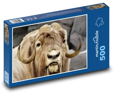 Obrázok produktu pre Puzzle 500 Pižmoň v divočine - martinpuzzle