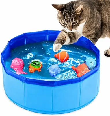 Produktbild von Katzenpool faltbar, 30 x 10 cm, PVC, für kleine Haustiere