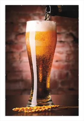 Produktbild von Wallario Wandbild Frisches Pils, Größe: 61 x 91,5 cm, Poster mit rahmenlosen Bildhalter