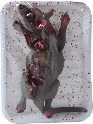 Produktbild von Halloween Deko Gadget Tote Ratte auf einem Tablett