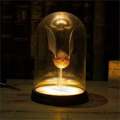 Image de Harry Potter : Le Vif d'or, Lumière