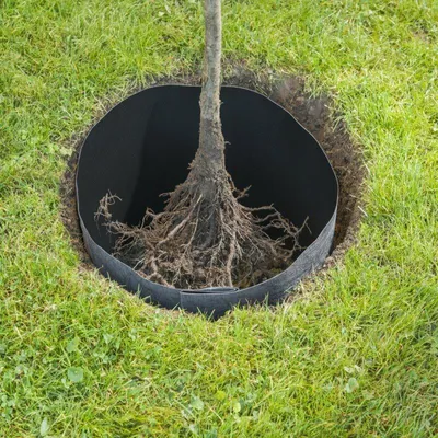 Produktbild von Windhager Wurzelsperre aus HDPE-beschichtetem Vlies, 3,5 x 0,6 m, 275 g/m²