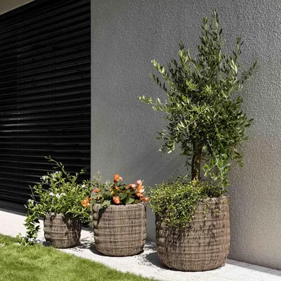 Produktbild von di volio Pflanzkübel Set LEPORI 3 hohe runde Polyrattan Blumentöpfe Braun