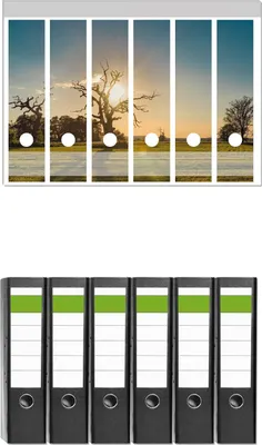 Produktbild von Wallario 6 Stück breite Ordner inkl. Klebeetiketten mit Motive Alte knochige Bäume bei Sonnenuntergang -  Set mit Rückenschildern / Ordnerrücken Stickern