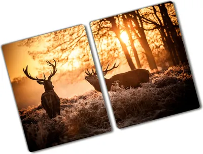 Produktbild von Tulup Glas Herdabdeckplatte - 2x40x52 cm - Glaskeramikkochfeld-Abdeckung Spritzschutz Glasabdeckplatte Kochplattenabdeckung und Schneidebrett - Zweiteilig - Tiere - Hirsch Sonnenaufgang - Braun