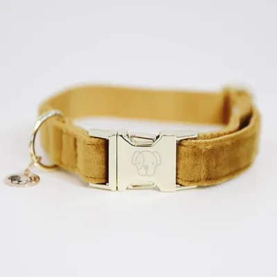 Obrázok produktu pre Kentucky Dogwear Obojok pre psov Velvet Collar Mustard M