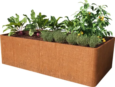 A raised garden bed filled with various plants, including beets, herbs, and tomatoes.