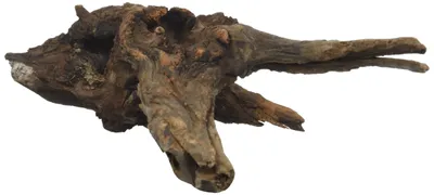Immagine prodotto di Decorazione per acquario "Mystic Wood", legno naturale, 30-40 cm