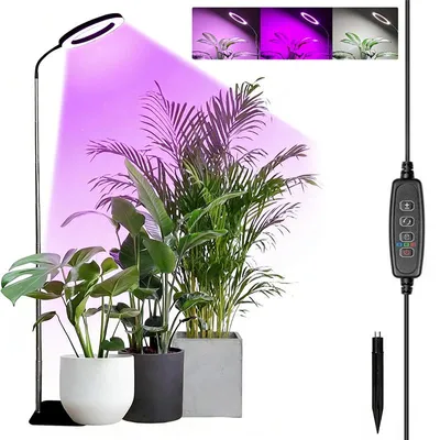 A ring-shaped LED grow light illuminates several potted houseplants. The light is adjustable in height and has multiple modes.