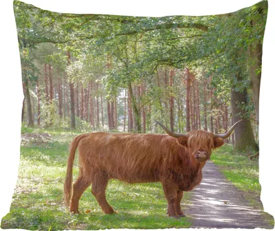 Produktbild von MuchoWow® Zierkissen Sofakissen Wohnzimmer Dekokissen 40x40 cm Schottisches Hochlandrind - Kröte - Baum - Foto Kissen - Schlafzimmer Dekoration