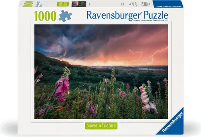 Zdjęcie produktu dla Ravensburger 12000793, 1000 szt., Inne