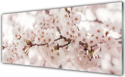 Produktbild von Glasbilder 125x50 Wandbild Druck auf Glas Blumen Pflanzen