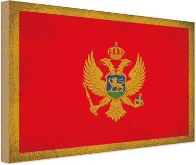 Produktbild von vianmo Holzschild 12x18 cm Monte Vintage Flagge Fahne Wappen