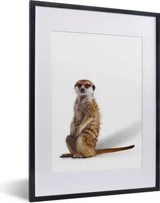 Produktbild von MuchoWow® MuchoWow® Gerahmtes Poster Erdmännchen - Tiere - Fell 30x40 cm - Poster mit zchwarzem Bilderrahmen - Wandposter Schlafzimmer