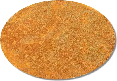 A round, rusty metal plate on a white background.