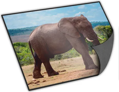 Produktbild von itenga Schreibunterlage Elefant 400 x 530 mm
