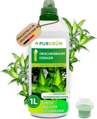 Produktbild von Purgrün Drachenbaum-Dünger 1 Liter,