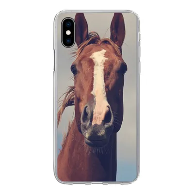 Produktbild von MuchoWow® Handyhülle Schutzhülle Hülle für iPhone Xs Pferd - Luft - Blau Silikon Softcase Handy Hülle - Handytasche