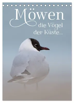 Produktbild von Möwen - die Vögel der Küste (Tischkalender 2027 DIN A5 hoch), CALVENDO Monatskalender