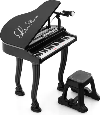 Produktbild von 37 Tasten Keyboard Kinder, Mini E-Piano mit Hocker & Mikrofon & 3 Lehrmodi & 8 Rhythmen & Aufnahme, Elektronisches Klavier für Mädchen & Junge ab 3 Jahre (Schwarz)