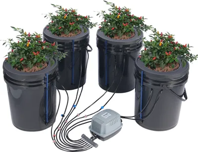 Produktbild von VEVOR DWC Hydroponics Grow System, Hydroponisches Anbausystem mit Top-Drip-Kit, Deep Water Culture 5-Gallonen-4-Eimer, mit Luftpumpe, Luftsteinen und Wasserstandsanzeige für Blattgemüse