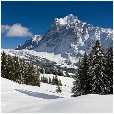 Produktbild von Wallario Memoboard Magnettafel aus Glas, Größe 50 x 50 cm, Motiv Verschneiter Berghang unter blauem Himmel