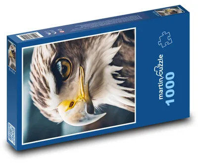 Produktbild von Puzzle 1000 Majestätischer Blick des Adlers - martinpuzzle