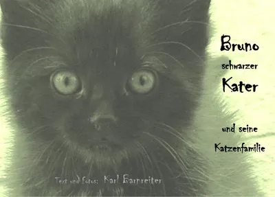 Produktbild von Bruno schwarzer Kater
