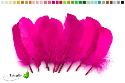 Produktbild von 10 Gänsefedern 15-20cm, Farbauswahl:fuchsia / magenta 183D