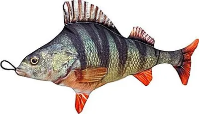 Produktbild von Fladen Stofftier Barsch Länge 40 cm Fischkissen